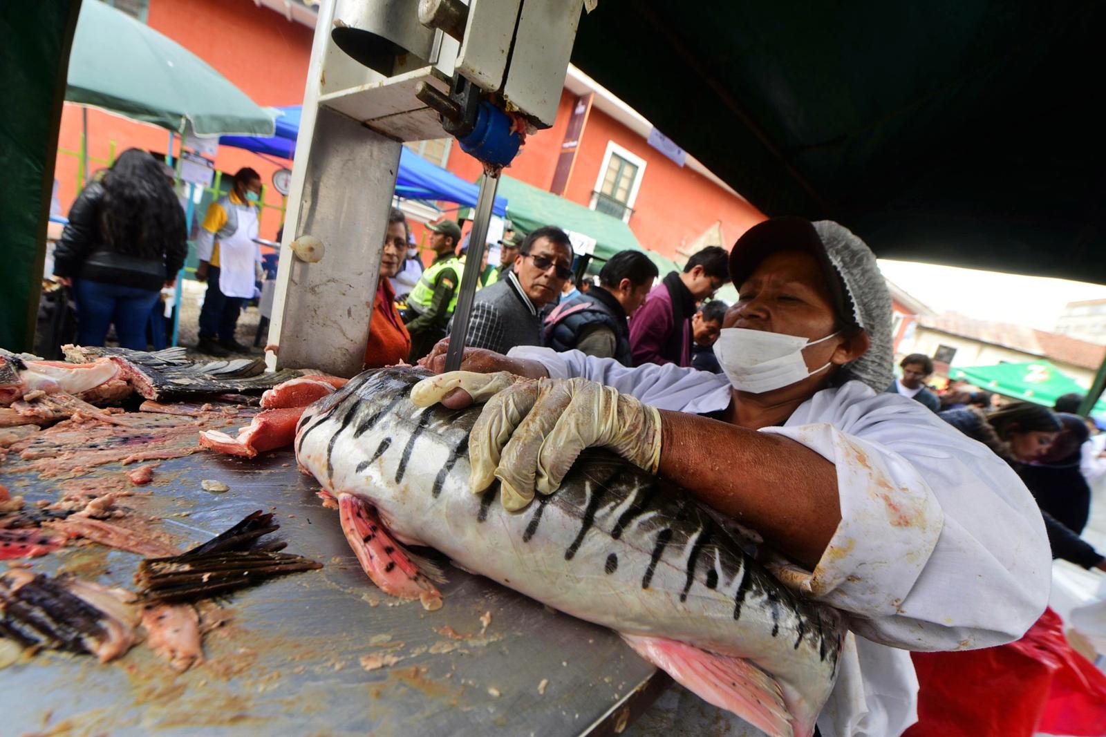 Ferias Del Campo A La Olla Ofertan Variedad De Pescado Para La Semana