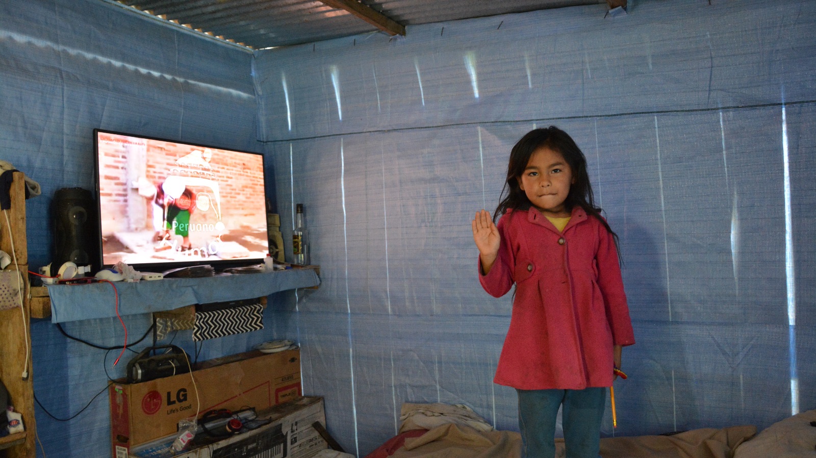 Electrificación rural en Caranavi beneficiará a 366 familias y ayudará ...