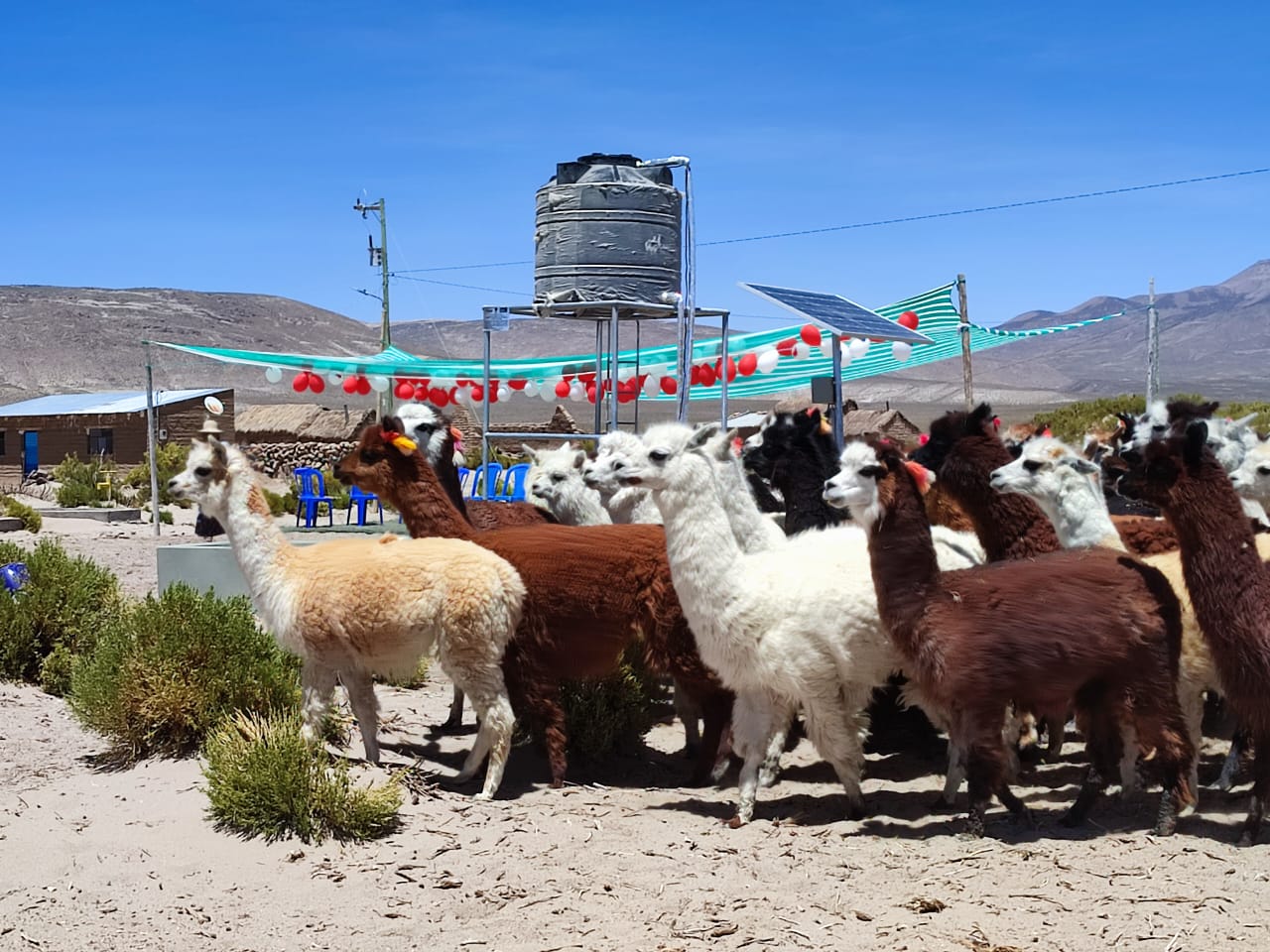 Desarrollo Rural entrega 12 sistemas de agua para fortalecer la ...