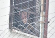 TSJ no admite el recurso de Jeanine Áñez que buscaba la nulidad de su condena por el caso ‘Golpe II’