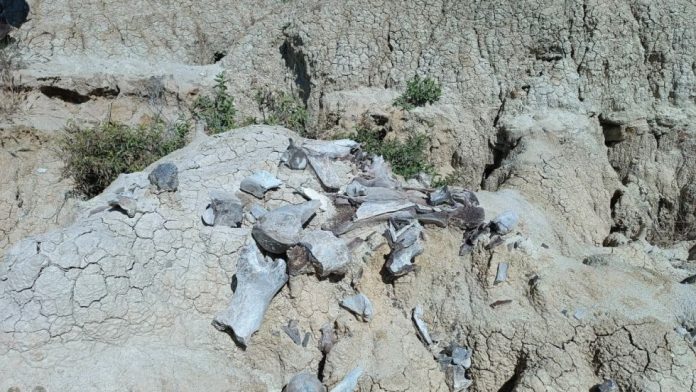 7e7442bc-92d7-4625-94dc-9f5a4631acb8