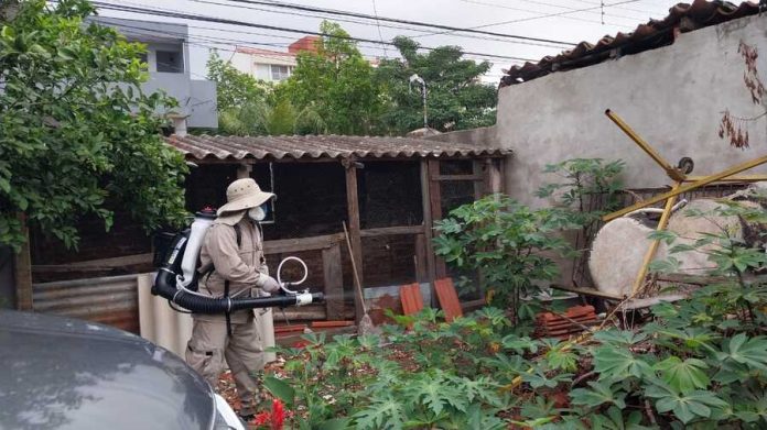 DENGUE_1