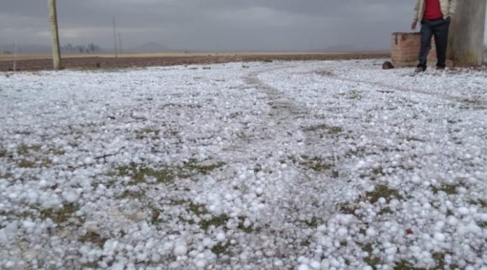 b_52986_granizadas-destruyen-cultivos-y-viviendas-en-chuquisaca-senamhi-mantiene-alerta-por-lluvias-y-tormentas-1