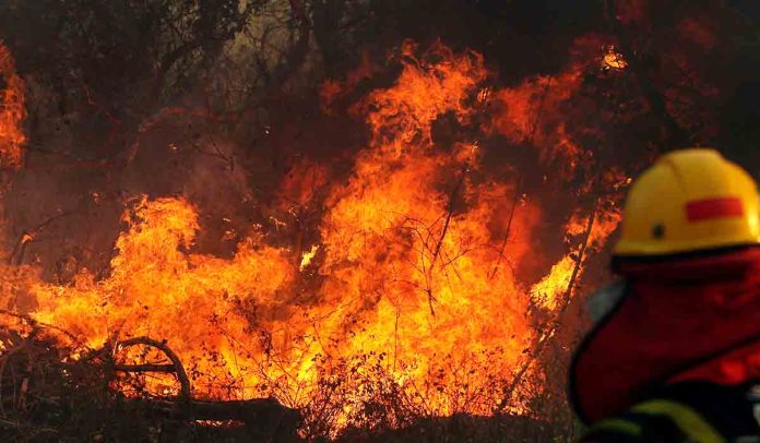 bolivia-perdio-9-de-bosques-humedos-tropicales-por-los-incendios-forestales-de-2024-segun-informe-internacional-14-10-2025