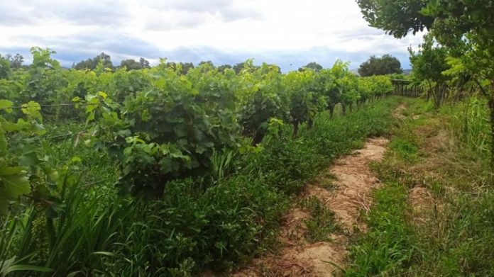 e5b391a6-b43d-471d-91a0-e951783bbbeb