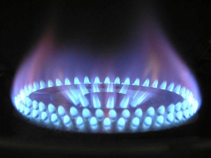 gasnatural