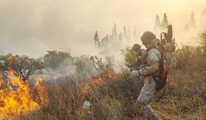 gobierno-resalta-que-impacto-de-los-incendios-bajo-de-10-millones-a-medio-millon-de-hectareas-afectadas-2025-10-28