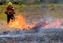 Bolivia reporta seis incendios activos