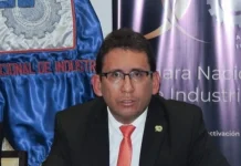 Pablo Camacho: “La industrialización fue un capricho ideológico que generó empresas públicas deficitarias y un daño económico a Bolivia”