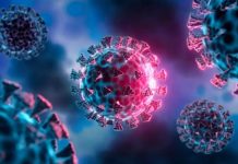 El Sedes de Cochabamba confirma seis casos positivos de gripe H3N2, variante K