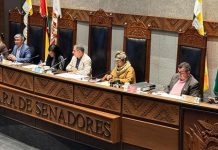 Senado rechaza PGN 2026 y aprueba 3 créditos por $us 675,9 millones