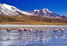 Feriado largo de Año Nuevo: el sector turístico pronostica un movimiento económico de $60 millones