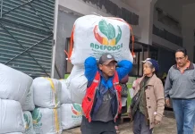 Santa Cruz consumió 96.136 toneladas de coca en 11 años y movilizó $us 922 millones