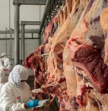 Carniceros declaran paro indefinido