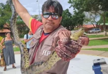 Una de cada 10 especies está en peligro de desaparecer en Bolivia