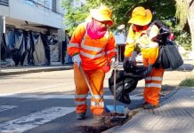 En Santa Cruz recogen 10 toneladas de basura tras el carnaval