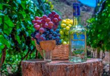 Exportaciones de singani boliviano crecen en 18% y llegan a $us 216 millones en 2025