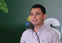 Preocupación por el chikungunya: 1.030 casos en un mes y un bebé en terapia en Santa Cruz