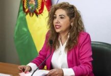 Fiscalía emite orden de aprehensión contra Karina Serrudo, expresidenta de la Aduana