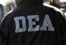 Viceministro descarta bases de la DEA en Bolivia y afirma que la ayuda es informativa y logística