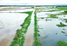 Las lluvias golpean a Ascensión de Guarayos y a los valles cruceños