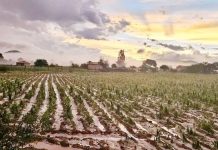 Mojocoya pasa de dura sequía a fuerte granizada