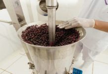 Empresarios destacan acuerdos con Brasil para impulsar exportaciones amazónicas