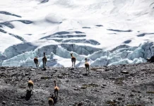 Áreas protegidas de Bolivia en alto riesgo por actividad minera ilegal
