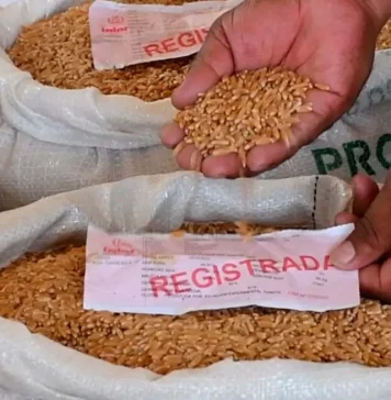 Mercado ilegal de insumos agropecuarios asciende a $us 151 millones