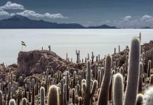 Empresarios abordan con el rey de España inversiones y potencial de Bolivia en turismo, minería y agricultura