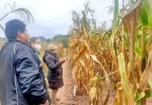 Desastres naturales dejan 36.000 familias golpeadas