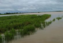 Por lluvias y desbordes de ríos ya se perdieron por completo 30 mil hectáreas de soya
