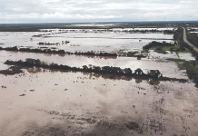 Las lluvias, plagas y bajos precios acorralan a productores del agro