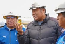 Senado exige retirar gasolina observada y convoca a Medinaceli
