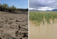 Sequías extremas y lluvias intensas azotaron a Cochabamba entre enero y marzo