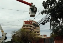 CRE atiende más de mil emergencias eléctricas por fuertes vientos
