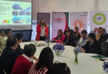 Las reservas hoteleras se desploman y prevén cancelaciones hasta octubre