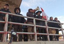 Al grito de ‘patria o muerte’, marcha evista se instala en El Alto y toma la posta por la renuncia de Rodrigo Paz