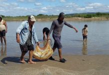 Expectativa en Villa Montes por un nuevo cardumen de sábalo