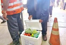 Largas filas para enviar encomiendas vía aérea