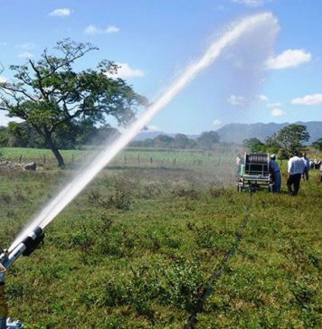 Regantes advierten que conflictos sociales y fenómenos climáticos amenazan la producción