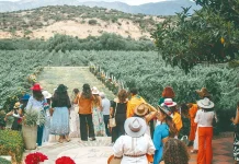 La agroindustria surge como el ‘oxígeno económico’ para Tarija