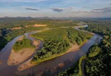 Áreas Protegidas de Amazonía de Bolivia en riesgo de fragmentarse