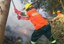 Senamhi inicia monitoreo de focos de calor ante el inicio de la temporada crítica