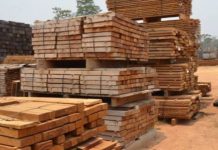 La exportación forestal boliviana y sus desafíos logísticos