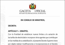 Rige DS de estabilización de tarifas de electricidad