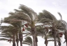 La CRE atendió más de 1.000 emergencias por efectos climáticos