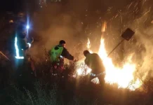 Bolivia registra 1.611 focos de calor y dos incendios en Tarija y Chuquisaca