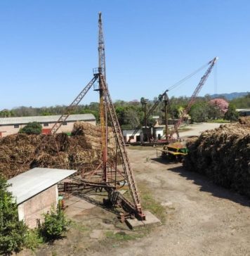 Cañeros piden elevar el cupo de diésel para garantizar la zafra