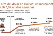 Dólar acumula un alza de Bs 1,02 en 2 semanas